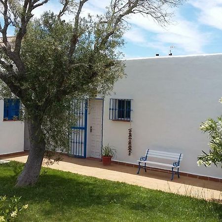 Casa Montecote Playa Los Canos De Meca Eksteriør billede